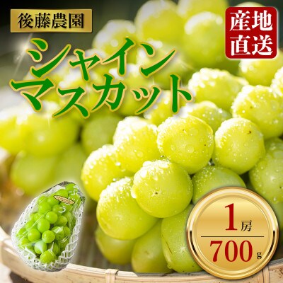 「後藤農園」 シャインマスカット 約700g 1房【配送不可地域:離島・北海道・沖縄・東北・関東・信越、北陸・東海・四国】【1663124】熊本県阿蘇市16000果物・フルーツマスカット・ぶどう