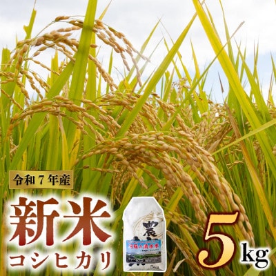 【予約】ファーム中村 R7年産 コシヒカリ 5kg(白米)【1670668】熊本県阿蘇市24000米・パン白米