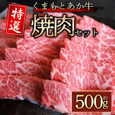 【毎月定期便】厳選されたGI認証 くまもとあか牛 特選焼肉用 500g(阿蘇市)全3回【配送不可地域:離島】【4053059】熊本県阿蘇市90000肉牛肉