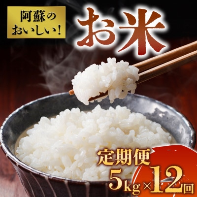 yցzh̔ yݕ 5kg×S12y4057662zF{hs150000āEp