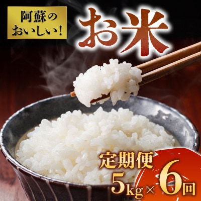 【2ヵ月毎定期便】阿蘇の美味しいお米 5kg×隔月全6回【4057665】熊本県阿蘇市75000米・パン白米