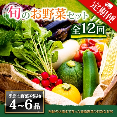 【毎月定期便】季節のお野菜セットMサイズ 旬のお野菜を厳選してお届け全12回【配送不可地域:離島】【4067203】熊本県阿蘇市72000野菜・きのこその他 野菜