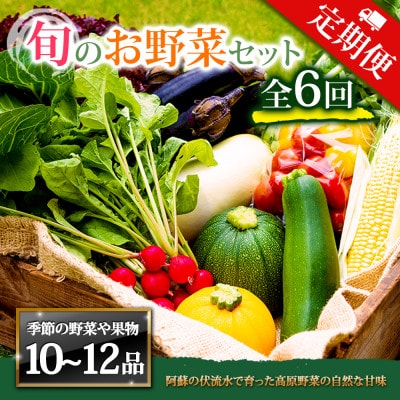 【毎月定期便】季節のお野菜セットXLサイズ 旬のお野菜を厳選してお届け全6回【配送不可地域:離島】【4068283】熊本県阿蘇市60000野菜・きのこその他 野菜