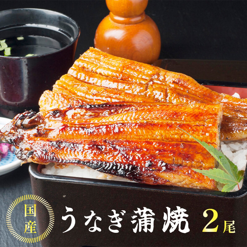 国産 うなぎ 蒲焼 2尾 : 特製ダレ付 冷凍 有頭 鰻 うなぎ蒲焼 調理済 ウナギ たれ付き 簡単 お取り寄せ グルメ 国産鰻 養殖京都府舞鶴市35000魚介・海産物