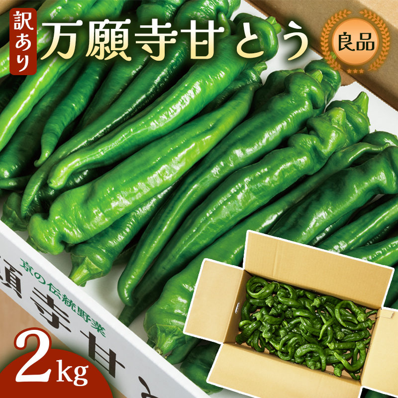 【訳あり】 万願寺甘とう 良品 2kg | 形・長さ不揃い 辛くない京野菜 夏限定 味覚 肉厚 ジューシー 京都産 旬 季節の野菜 詰め合わせ 京のブランド産品 京野菜 万願寺 まんがんじ 野菜 夏野菜