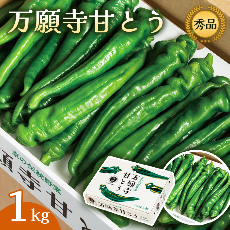 【2025年夏発送分】万願寺甘とう 化粧箱入 秀品 1kg 選べる容量 野菜 夏野菜 旬 地場産 地場野菜 地元野菜 発祥 伝統 京野菜 伝統野菜 万願寺とうがらし京都府舞鶴市13000野菜・きのこその他