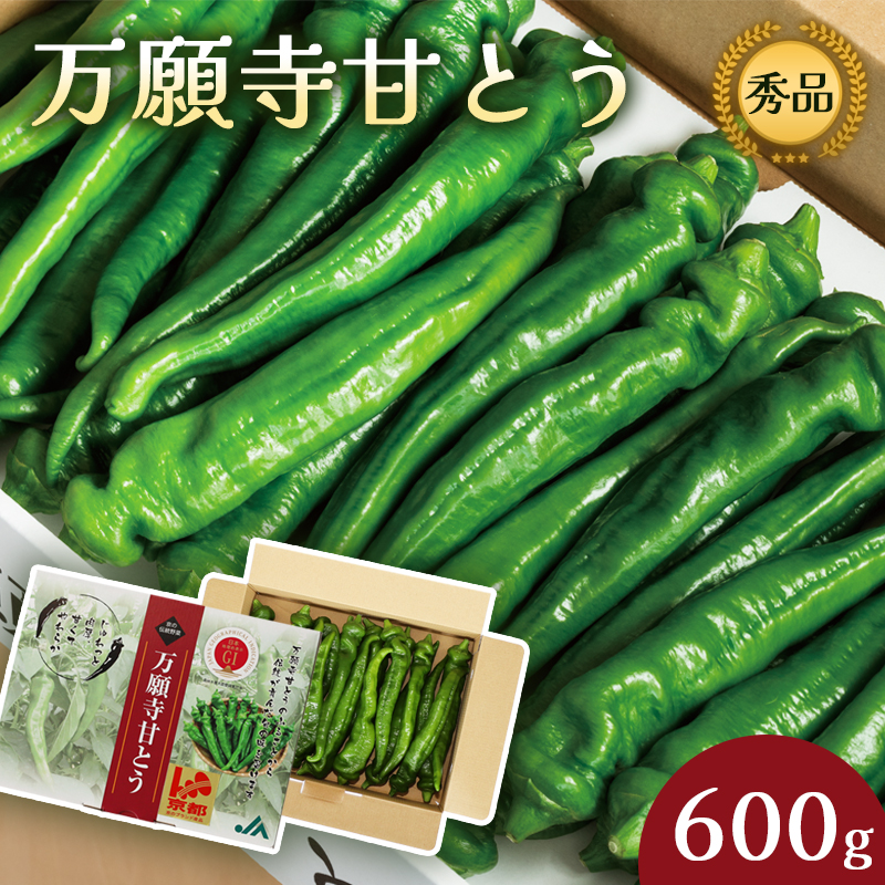 万願寺甘とう 秀品 600g 【 肉厚 ジューシー 辛くない 唯一の京野菜 国産 旬 季節の野菜 詰め合わせ 京のブランド産品 京野菜 万願寺 野菜 夏野菜 化粧箱 地場野菜 お土産 手土産 JA 京都 綾部