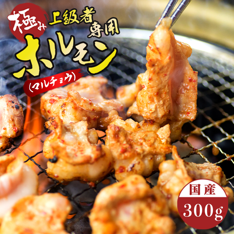 国産 牛 極上 上級者専用 ホルモン ( マルチョウ ) 300g 附属タレ付き | 冷蔵 丸腸 もつ鍋 タレ揉み 中元 ギフト お祝いモン モツ 丸腸 まるちょう 焼き肉 BBQ 味付け肉 キャンプ アウトドア 京都