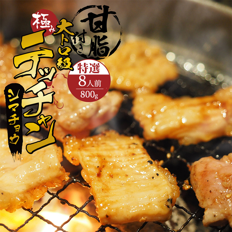 極み シマチョウ テッチャン 800g 附属タレ付き | タレ揉み 冷蔵 甘脂付き 焼肉 もつ鍋 中元 ギフト お祝い京都府舞鶴市12000肉