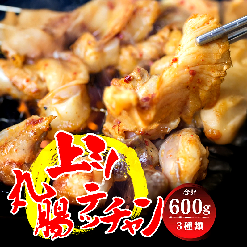 厳選国産牛 ボリューム満点 欲張りセット マルチョウ / 上ミノ / テッチャン 各200g 600g 附属タレ付き | ミックス ホルモン 食べ比べ もつ鍋 冷蔵 中元 ギフト お祝い京都府舞鶴市10000肉