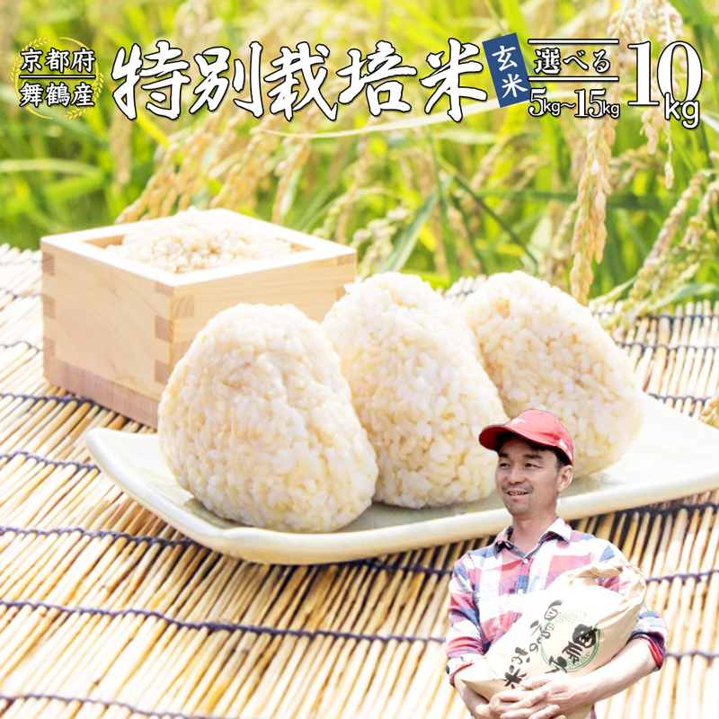 【令和7年度産 新米 先行予約】 棚田米 10kg 玄米 : コシヒカリ 特別栽培米 7割削減 京都産 お米 農家直送 こしひかり 米 ご飯 玄米ご飯 げんまい 低農薬 減農薬 栽培 棚田 低農薬米 減農薬米