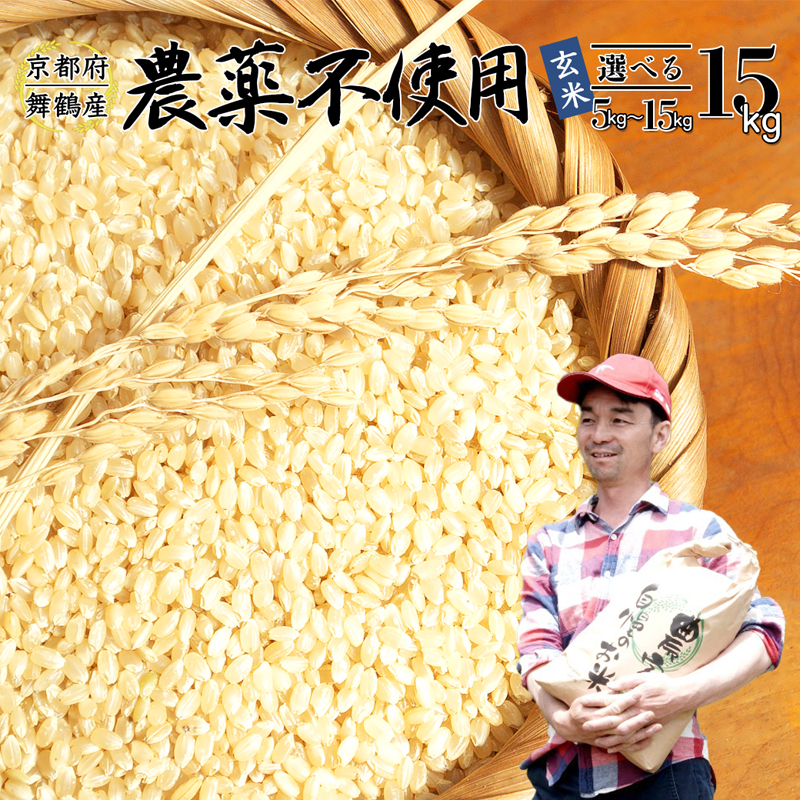 【令和7年度産 新米 先行予約】 棚田米 15kg 玄米 : コシヒカリ 栽培期間中農薬不使用 京都産 お米 農家直送 こしひかり 米 ご飯 げんまい 無農薬 栽培 棚田京都府舞鶴市70000米・パン玄米・