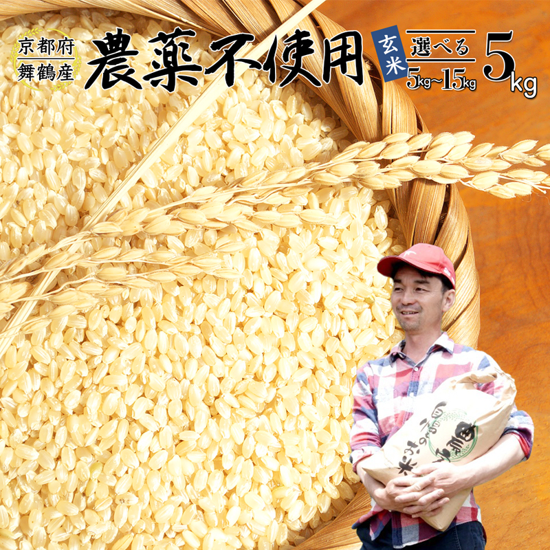 【令和7年度産 新米 先行予約】 棚田米 5kg 玄米 : コシヒカリ 栽培期間中農薬不使用 京都産 お米 農家直送 こしひかり 米 ご飯 げんまい 無農薬 栽培 棚田京都府舞鶴市24000米・パン玄米・雑