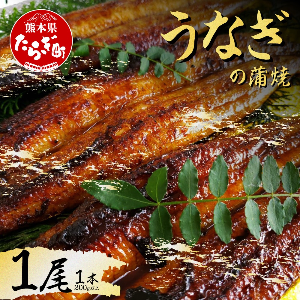 うなぎの蒲焼 1尾(200g以上) オリジナル特製タレで味付け 冷凍 003-0303熊本県多良木町12000魚介・海産物うなぎ