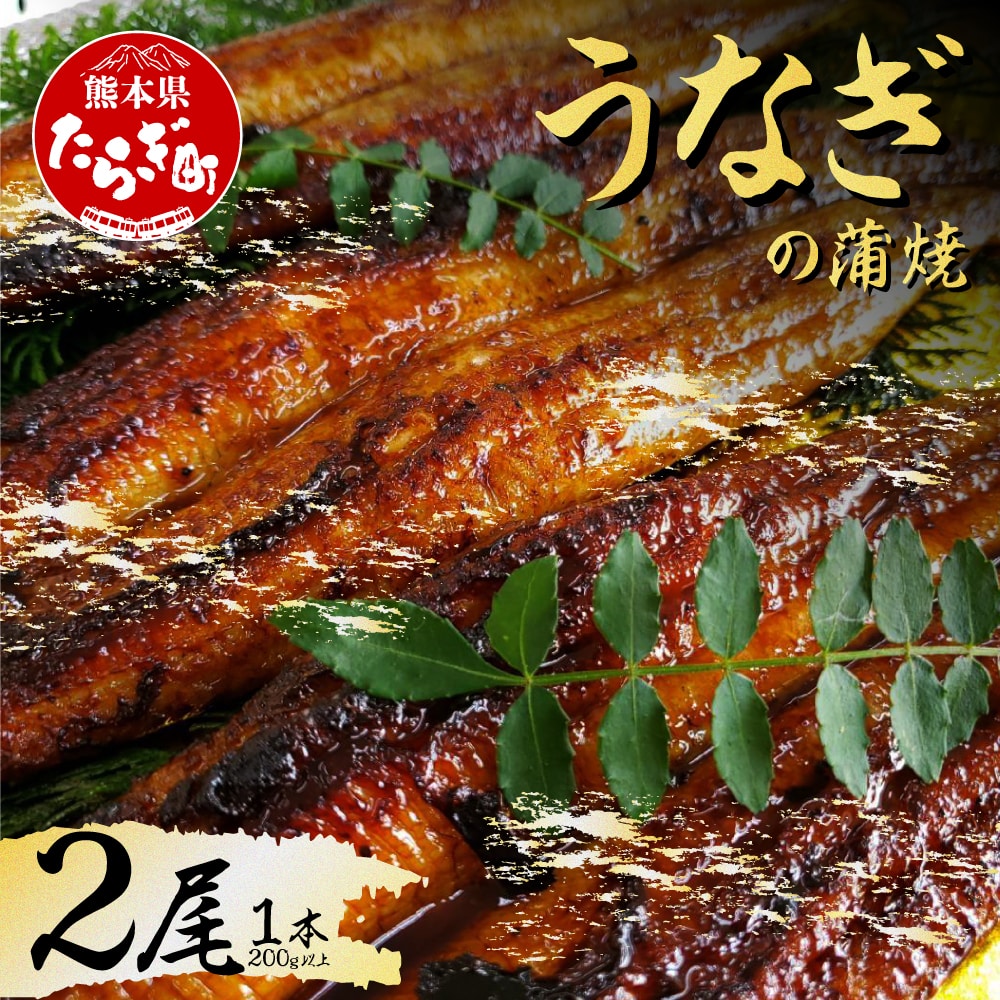うなぎの蒲焼 2尾(1尾200g以上) オリジナル特製タレで味付け 冷凍 003-0304熊本県多良木町22000魚介・海産物うなぎ