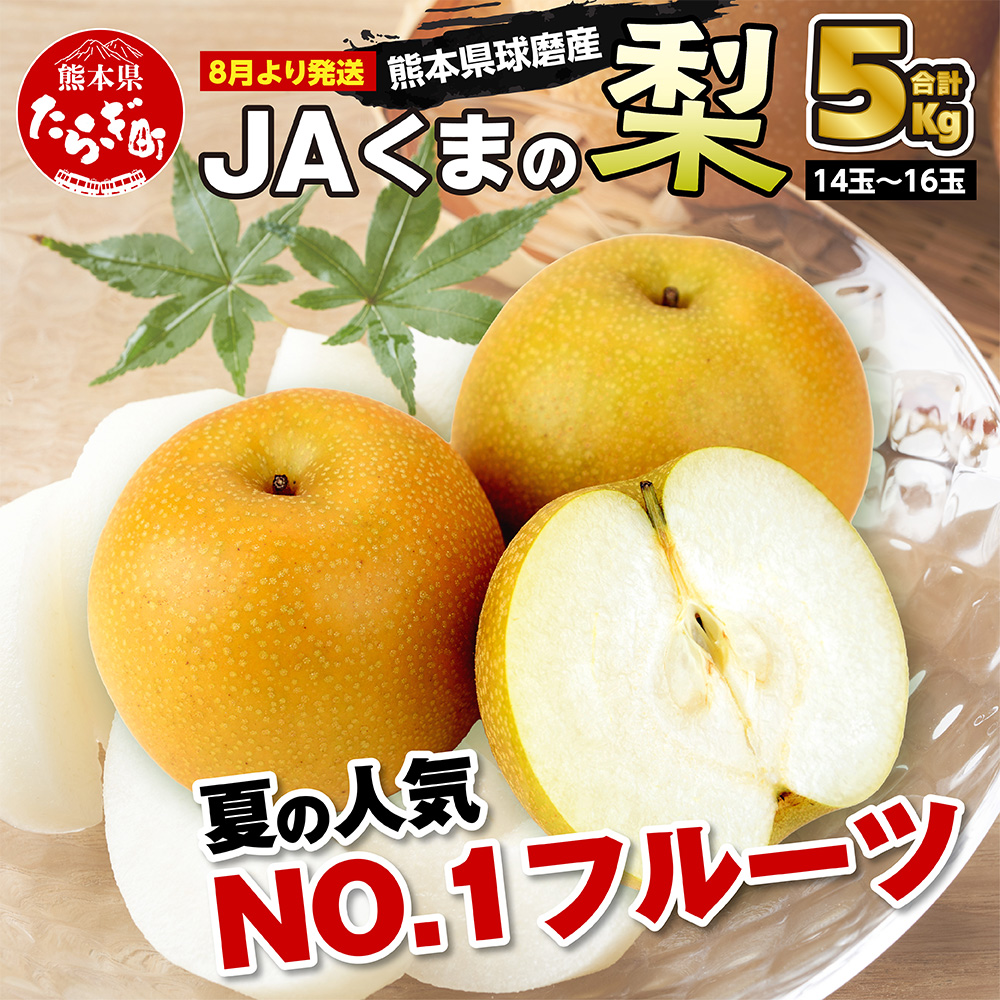 【数量限定・先行受付】JA くまの 梨 5kg (14〜16玉) ≪2024年8月上旬発送開始≫【 豊水 秋月 新興 旬 梨 なし ナシ 熊本県 多良木町 球磨の梨 期間限定 】004-0671熊本県多良木町16000果物・フルー
