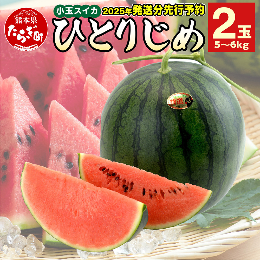 2025年5月～6月発送 先行予約】小玉スイカ ひとりじめ (2玉) 令