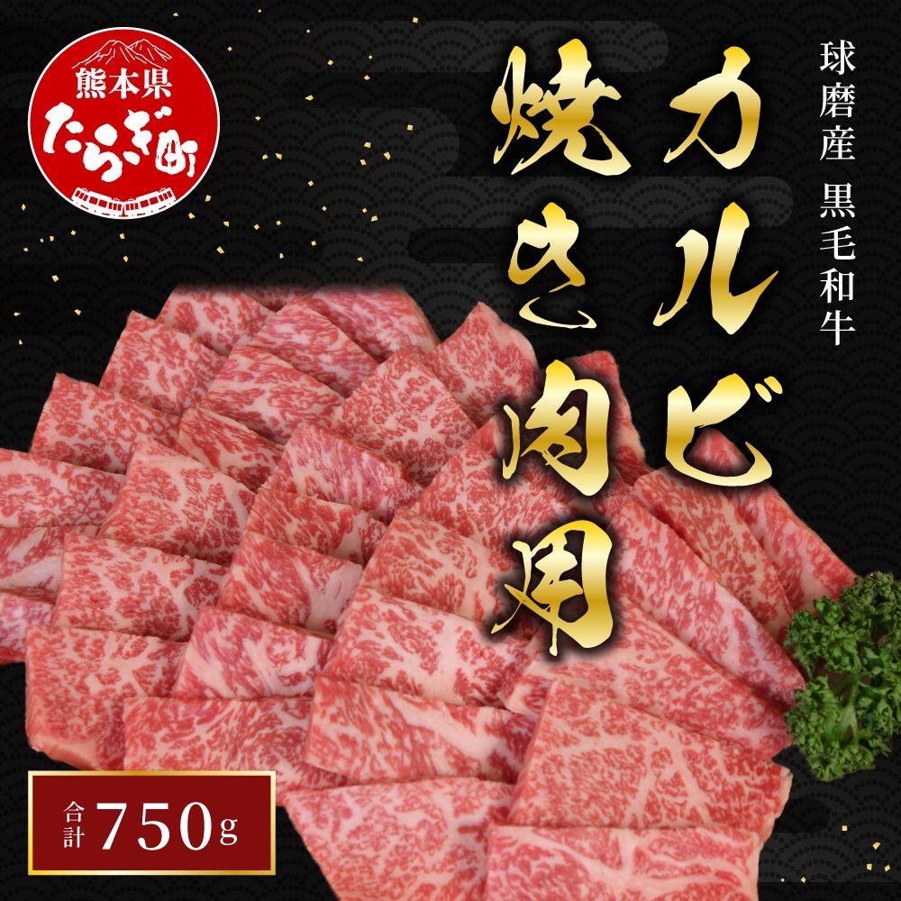 Y јa Jr Ă p 750g On ̐g Foy  a Jr Hה Y |Ղ ē JA z 011-0003F{ǖؒ24000