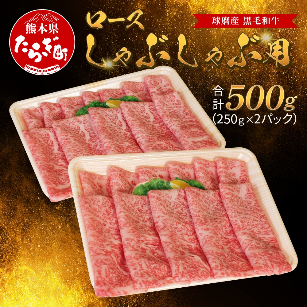 Y јa [XԂԗp 500gi250g×2pbNjy  Ԃ Ԃԗp [X 炩  a z011-0064F{ǖؒ24000
