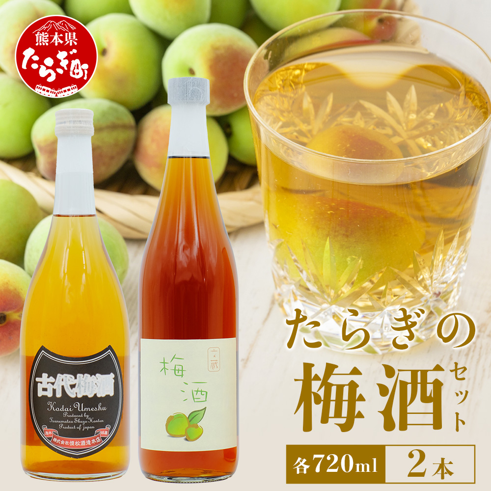 炬 ~ Zbg 720ml × 2{ Ñ~ ~𕶑 Ē ǖؒ  Ē ~ ߎ   蕨 Mtg F{ ǖؒ 015-0689F{ǖؒ14000EAR[