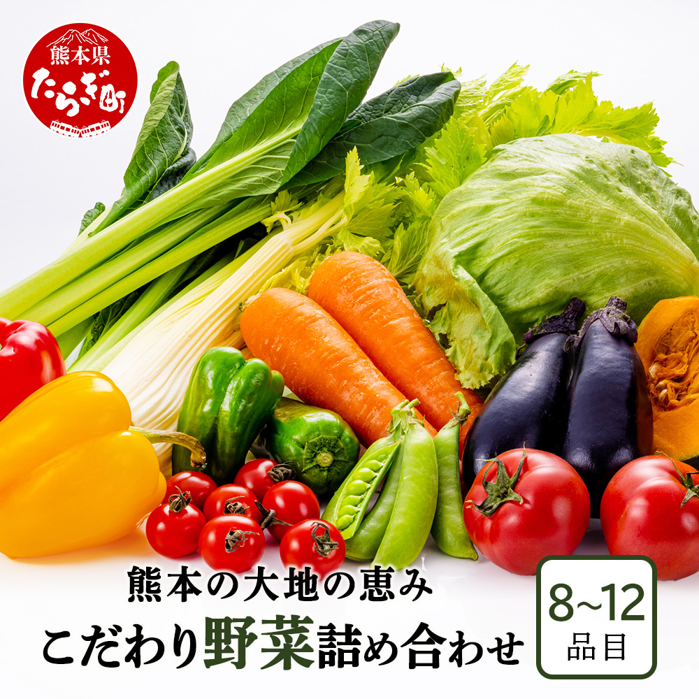 熊本の大地の恵み 旬の こだわり野菜詰め合わせセット 8~12品 (3~4名様向け)野菜 獲れたて 新鮮 野菜 セット 詰め合わせ 詰合せ 産地 直送 国産 季節 野菜 家族 ファミリー 多良木町 024-0809