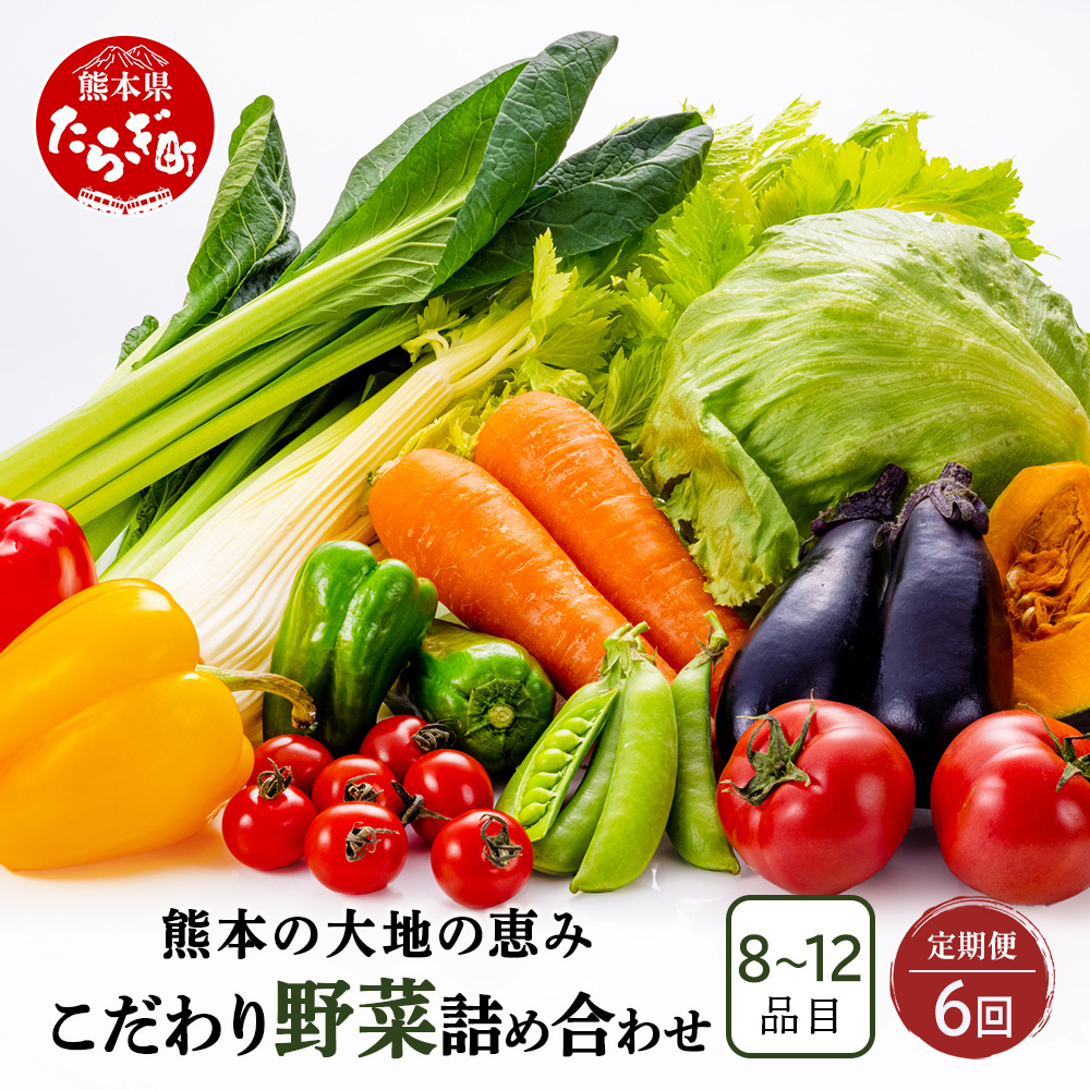 y6zF{̑ňb { ؋lߍ킹Zbg 8~12i i3~4lj6z lꂽ VN  Zbg lߍ킹 l  Yn  Y G { Ƒ t