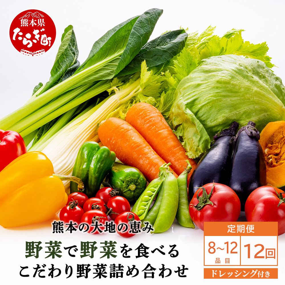 【定期便12回】熊本の大地の恵み≪ 野菜で野菜を食べる ≫ 旬のこだわり 野菜 &ドレッシング セット (3~4名様向け) 野菜 獲れたて 8〜12品 直送 旬 新鮮 定期便 野菜ドレッシング 詰め合わせ