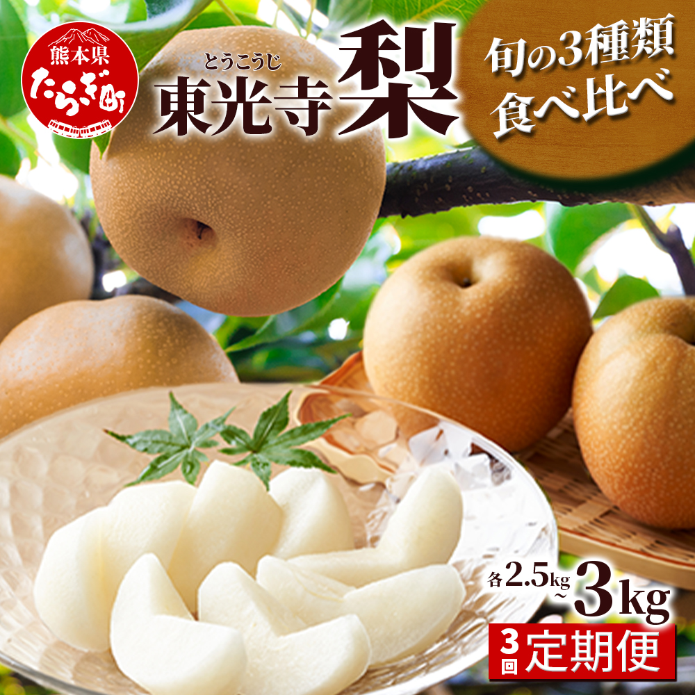 ys\zy 3i ցz  2.5`3kg (5`7)×3z n (2024N7{`) t[c  Ȃ iV ʕ  { K L H V VV 025-0574F{