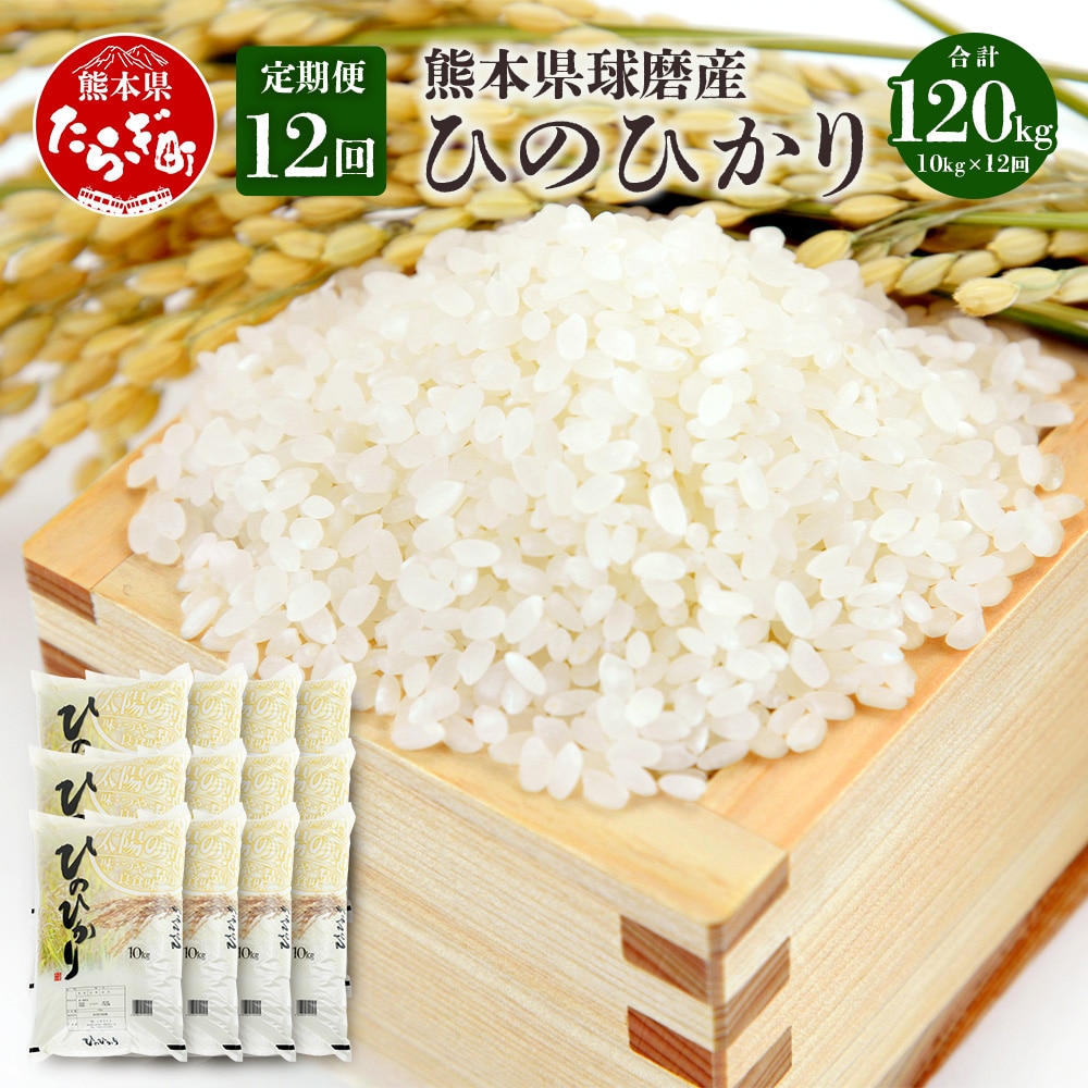 【定期便年12回】令和5年度産 球磨産 ひのひかり 10kg ×12回 新米 精米 白米 036-0176熊本県多良木町192000米・パン白米