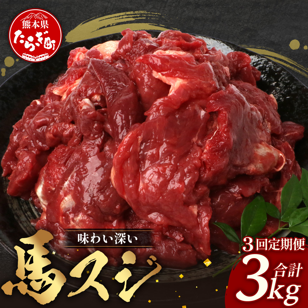 【 定期便 3回 】 熊本県 馬スジ 1kg( 500g×2 ) × 3回 【 合計 3kg 】 【 馬肉 すじ肉 大容量 本場 熊本県 馬 赤身 煮込み カレー シチュー 冷凍 真空 熊本 肥育 ヘルシー 赤身 肉 高栄養 肉 】 041-
