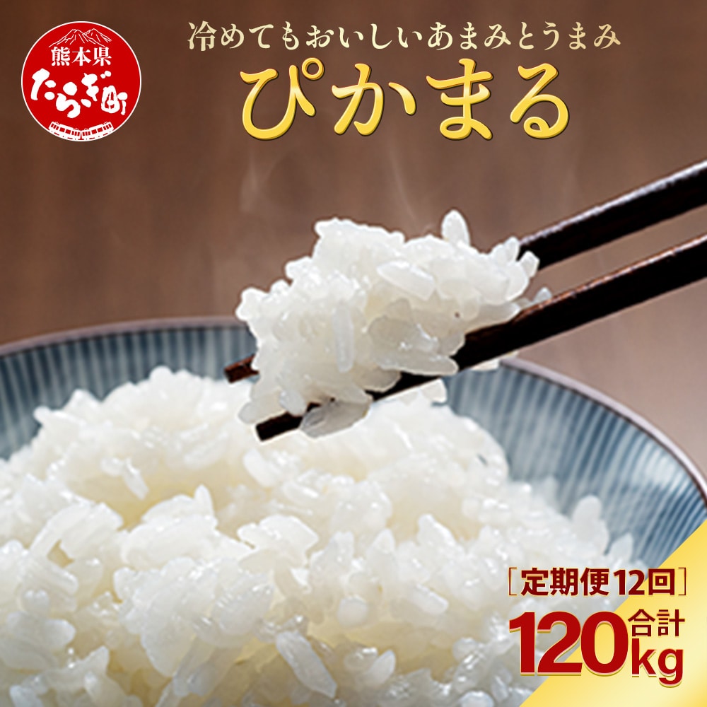 【R6年産米 定期便12回】多良木町産 『ぴかまる』 10kg(5kg×2)×12回 【計 120kg 】 定期便 定期配送 精米 お米 米 艶 粘り 甘み うま味 もちもち 熊本のお米 10キロずつ 120キロ 1年 毎月届く 熊本県