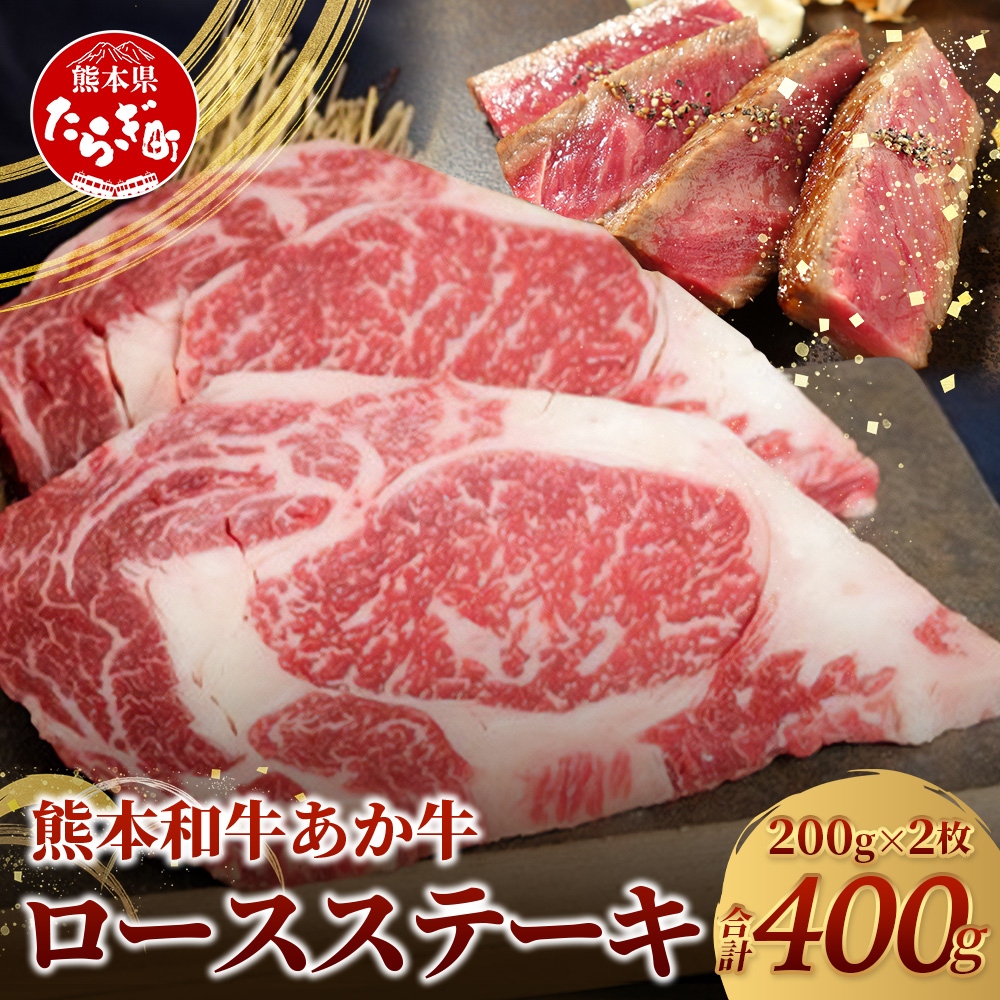F{Y  [X Xe[Ly 200g×2 v400g z F{Y Ԑg јa Y a   Xe[L y 046-0458F{ǖؒ24000