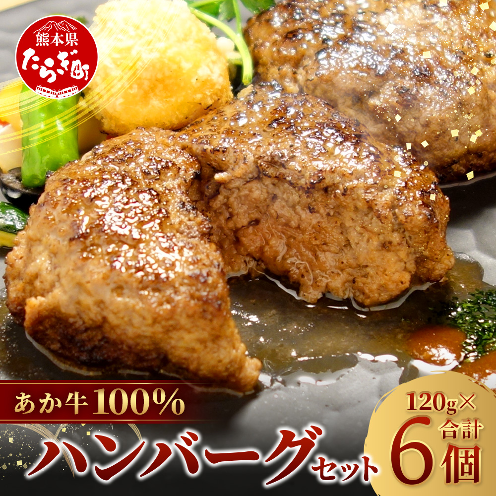 あか牛 100%ハンバーグ セット 120g×6個  【 ハンバーグ あか牛 牛肉 肉 熊本産 国産牛 和牛 旨味 うま味 ぎっしり 熊本県 多良木町 牛肉 】046-0638熊本県多良木町12000肉