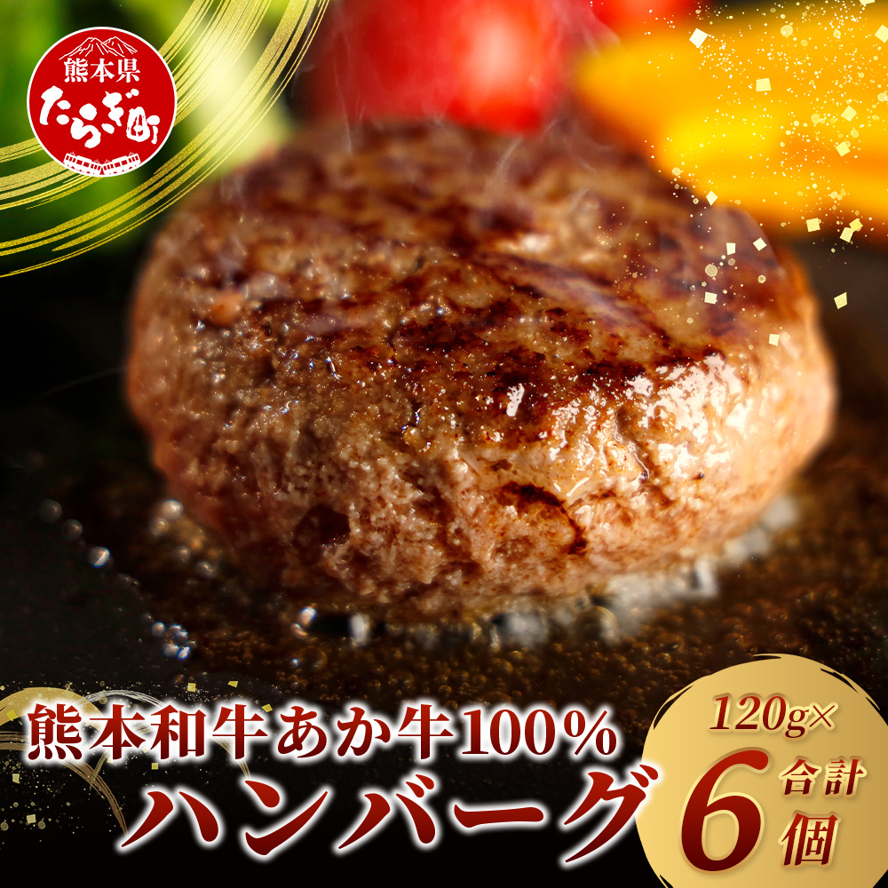 あか牛 100% ハンバーグ セット 120g×6個 NEWパッケージ 甲誠牛BOX 【 ハンバーグ あか牛 牛肉 肉 熊本産 ギフト 贈り物 贈答 和牛 旨味 うま味 ぎっしり 熊本県 多良木町 牛肉 】046-0645熊本県多
