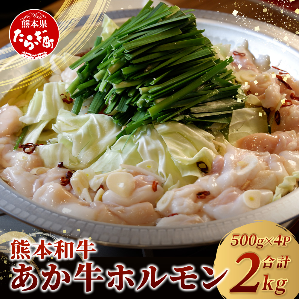 熊本県産 あか牛 ミックス ホルモン 2kg(500g×4パック) ホルモン 大容量 小分け冷凍 もつ鍋 焼肉 焼き BBQ 和牛 国産 牛肉 熊本県 あか牛 046-0653熊本県多良木町24000肉牛肉