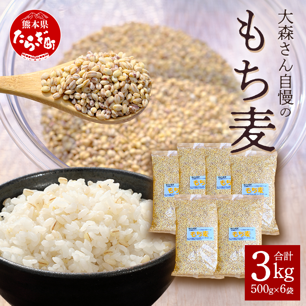 【 もち麦 】3kg(500g×6袋) 白米 と 炊くだけ!【 もちもち 食感 ぷちぷち  食物繊維 炊飯 健康 高栄養 ポリフェノール  熊本県 多良木町産 】065-0589熊本県多良木町12000米・パン玄米・雑穀米・