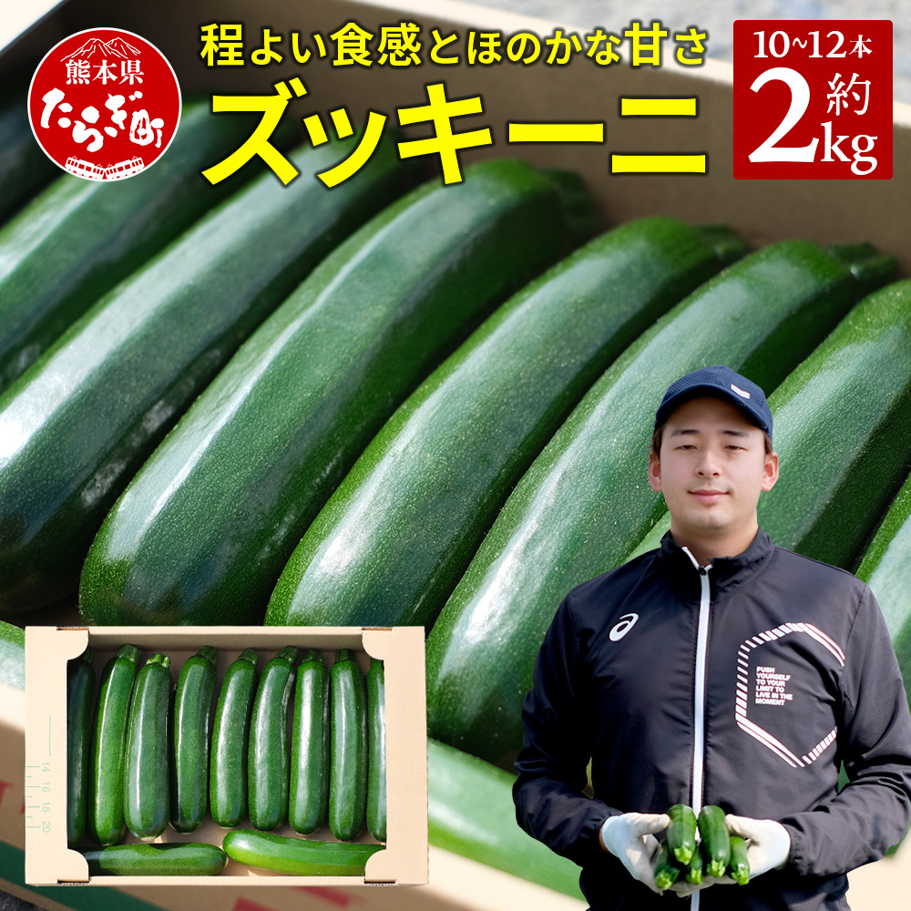 【11月上旬〜5月下旬発送】中神農園の ズッキーニ 約2kg (10〜12本) 先行予約 新鮮 野菜 やさい 煮る 炒める 生食 ミネラル ビタミンC ずっきーに 甘み 酸味 用途多様 国産 九州 熊本県 多良木町