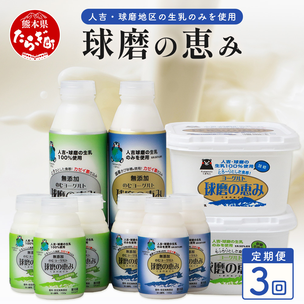 【定期便E 3回】球磨の恵み ヨーグルト&ドリンクヨーグルト 詰合せ 6種10品 × 3回配送 ≪加糖・砂糖不使用≫ 新鮮 しぼりたて 生乳 使用 とろーり もっちり ほんのり 甘い 加糖 ヨーグルト