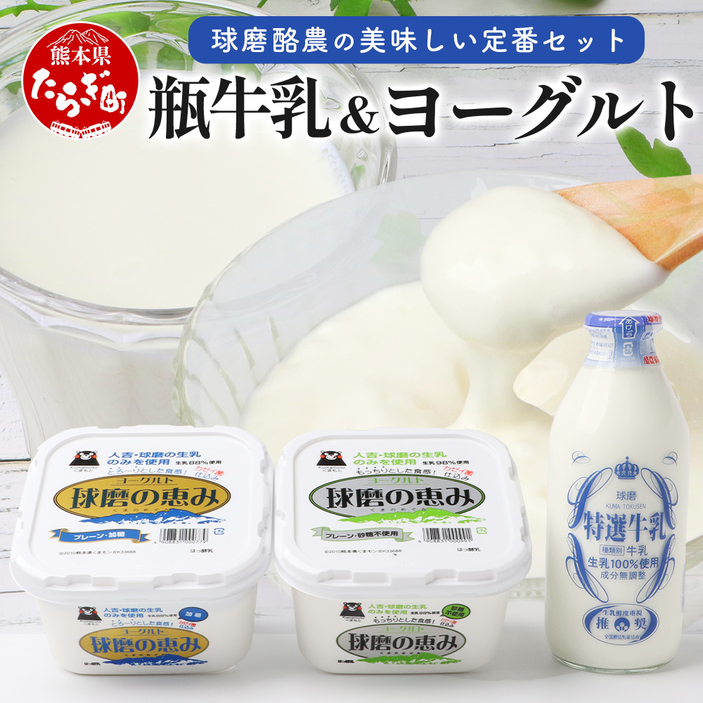 球磨酪農“おいしい定番”セット (瓶 牛乳 & ヨーグルト加糖・砂糖不使用) 牛乳 生乳 ヨーグルト  074-0463熊本県多良木町10000卵・乳製品ヨーグルト