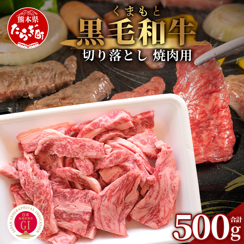 【G1認証】くまもと黒毛和牛 切り落とし 500g【 ブランド 牛肉 贅沢 切り落とし 熊本県産 熊本 肉 高級 黒毛和牛 和牛 熊本 多良木 】100-0010熊本県多良木町18000肉
