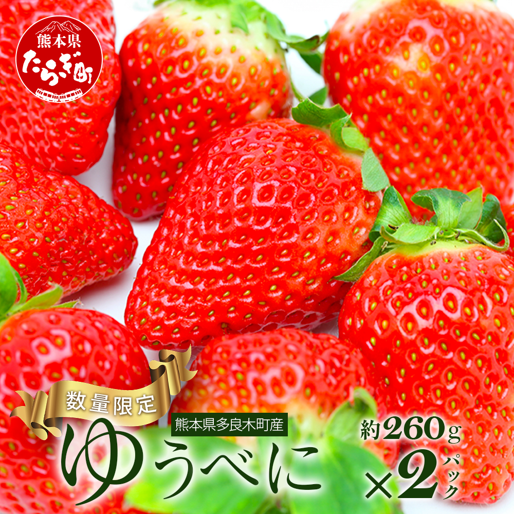 ys\zF{Y 䂤ׂ 260g×2pbN 2026N1甭 Yn Y VN tbV ʕ  C`S 103-0001F{ǖؒ9000ʕEt[c