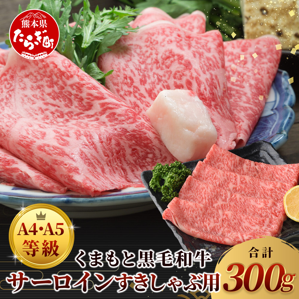 IʁyA4` A5z܂ƍјaT[C  Ԃ Ăp 300 uh   T[C ₫ XLL y J a Y F{ ㋉ ㎿ 106-050