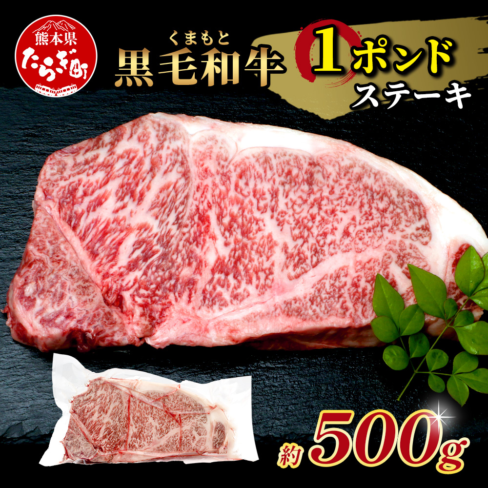 くまもと黒毛和牛 1ポンド ステーキ 約500g《 黒毛 和牛 1 pound ステーキ 500g ブランド牛 上質 常備 冷凍 熊本県 》113-0512熊本県多良木町16000肉