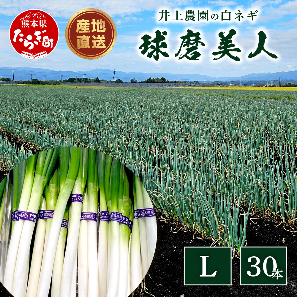 ys\z_̔lM ulv LTCY×30{ y2025N8{菇z lM K lM lM K ˂   ~ Y 114-0502F{ǖؒ7000؁Ê
