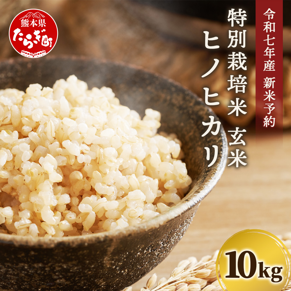 【令和7年 新米予約】特別栽培米「ヒノヒカリ 玄米」10kg 井上農園 10月より順次出荷 熊本県 お米 米 精米 ひのひかり 玄米 国産 114-0602熊本県多良木町26000米・パン玄米・雑穀米・もち米・餅