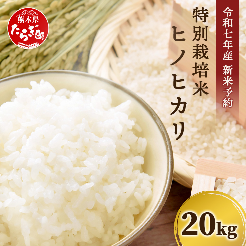 【令和7年 新米予約】特別栽培米「ヒノヒカリ」20kg 精米 井上農園 10月より順次出荷 熊本県 お米 白 米 精米 ひのひかり 国産 114-0603熊本県多良木町49000米・パン白米