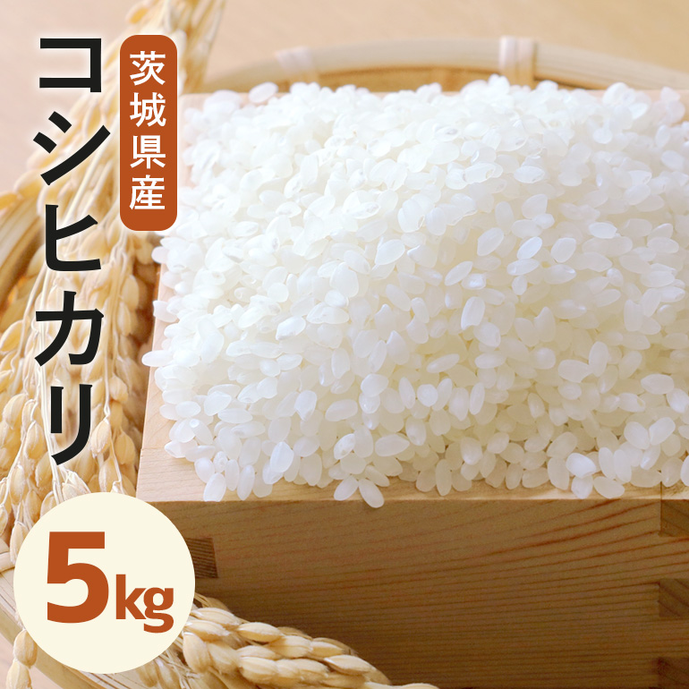 令和7年度産 みねしまふぁーむ 常陸牛農家が育てるコシヒカリ 5Kg コシヒカリ 低農薬 低化学肥料 米 発送直前に精米 精米 コシヒカリ米 茨城県産 白米 お米 コメ おこめ こめ こしひかり 有