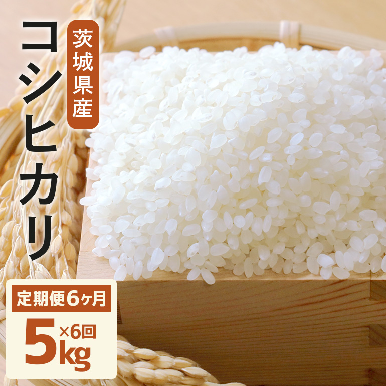  헤_ƂĂRVqJ 5kg×6 ߘa7NxY       Y ͂  R  Mtg 蕨 ٓ ٓ ɂ ӂ cc Â
