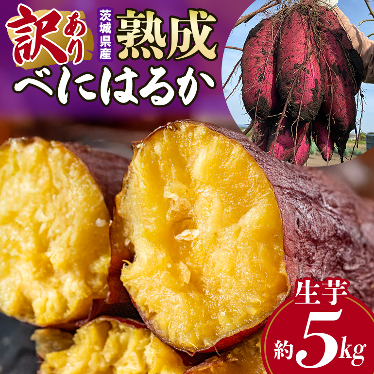 訳あり品!茨城県産熟成べにはるか 約5kg さつまいも サツマイモ 芋 いも 茨城県 那珂市 B15-005茨城県那珂市6000野菜・きのこじゃがいも・イモ類