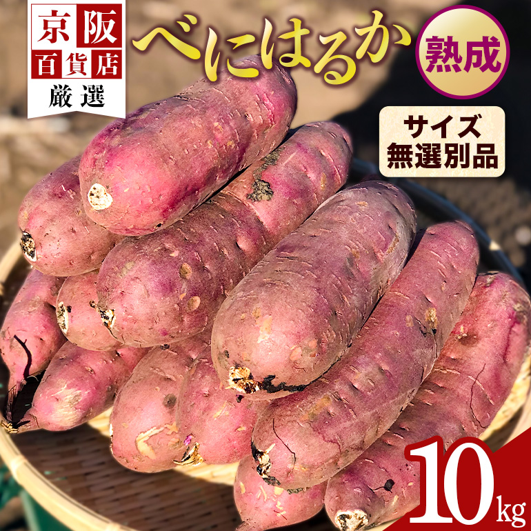 ySݓXIz錧Yׂɂ͂邩 10kginj[TCYIʕi]  ܈ Tc}C ܂ B18-008錧߉ώs14000؁ÊႪEC